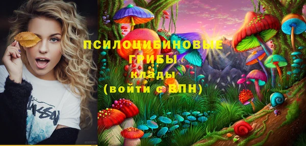 дживик Бикин