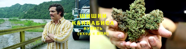 трава Наволоки