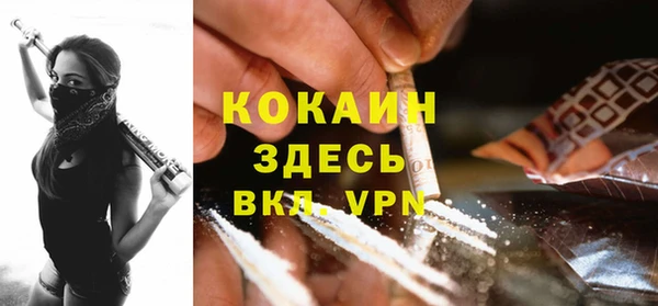 индика Беслан