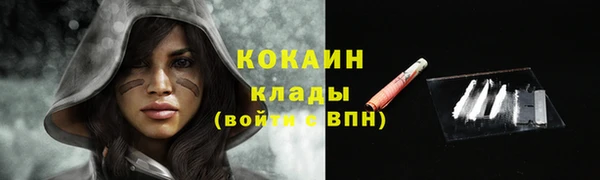 дживик Бикин