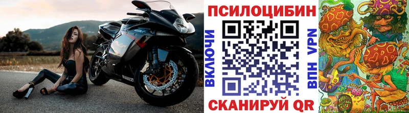 mega сайт Луза Галлюциногенные грибы Cubensis
